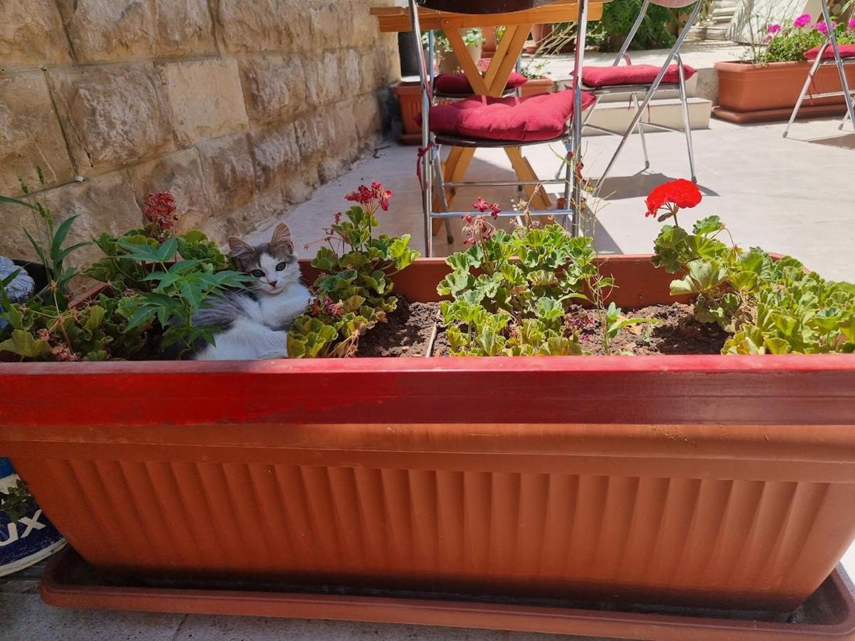 Rainbow House Hostel Amman Exterior photo